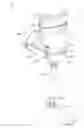 Fig. 01 - Knee Crutch System