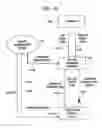 Fig. 22 - SYSTEM AND METHOD FOR IDENTITY VERIFICATION AND MANAGEMENT