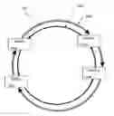 Fig. 01 - Static ring network for vehicle communications