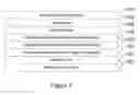 Fig. 08 - SYSTEM AND METHOD FOR RELIABLY PRESERVING WEB-BASED EVIDENCE