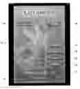 Fig. 01 - User interface for medical diagnosis