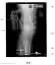 Fig. 06 - User interface for medical diagnosis