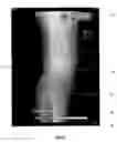 Fig. 07 - User interface for medical diagnosis