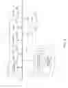 Fig. 04 - Management Of Corporate Entities