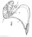 Fig. 09 - Coupler