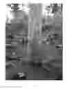 Fig. 04 - PLANTING MIX COMPOSITIONS AND METHODS