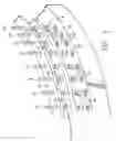 Fig. 05 - Foundation for a Wind Turbine Utilizing a Slurry of Low Viscosity Grout