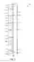 Fig. 04 - INSULATED WALL PANEL APPARATUSES, SYSTEMS, AND METHODS