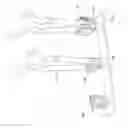 Fig. 05 - Anchoring assembly and fixing device for such an anchoring assembly