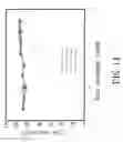 Fig. 15 - HEAT EXCHANGER