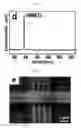 Fig. 06 - Electronic device, method for manufacturing the same and touch panel including the same
