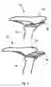 Fig. 02 - Bicycle seat