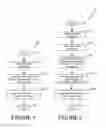 Fig. 02 - METHODS FOR CREATING GAMMA CORRECTION AND TONE MAPPING EFFECTS IN A DIGITAL IMAGE
