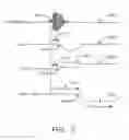 Fig. 06 - Systems and methods for measuring reactions of head, eyes, eyelids and pupils