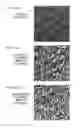Fig. 12 - Generation method for complex amplitude in-line hologram and image recording device using said method