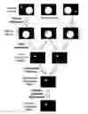Fig. 01 - Method and apparatus for video object segmentation