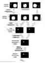 Fig. 02 - Method and apparatus for video object segmentation