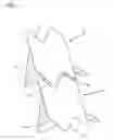 Fig. 02 - COLD METAL TRANSFER HARDFACING OF BUCKETS