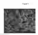 Fig. 04 - Lead free frangible bullets