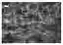 Fig. 01 - Nanowire preparation methods, compositions, and articles