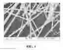 Fig. 02 - Nanowire preparation methods, compositions, and articles