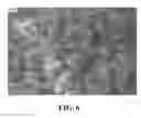 Fig. 07 - Nanowire preparation methods, compositions, and articles