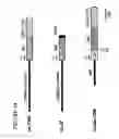 Fig. 02 - DNA regulatory element for the expression of transgenes in neurons of a subject and uses thereof