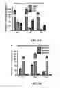 Fig. 02 - METHODS OF ISOLATING AND CULTURING MESENCHYMAL STEM CELLS