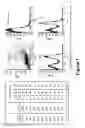 Fig. 02 - CD19 binding agents and uses thereof