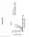 Fig. 17 - CD19 binding agents and uses thereof