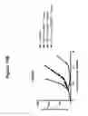 Fig. 18 - CD19 binding agents and uses thereof