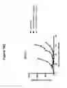 Fig. 19 - CD19 binding agents and uses thereof