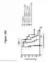 Fig. 20 - CD19 binding agents and uses thereof