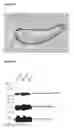Fig. 06 - CANCER STEM CELL MARKERS AND USES THEREOF