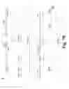 Fig. 09 - Chimeric Flavivirus Vaccines