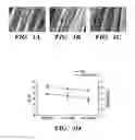 Fig. 02 - SERICIN EXTRACTED FABRICS