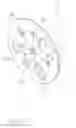 Fig. 07 - VARIABLE SPEED STEAM COOKER