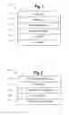 Fig. 02 - Decorative and/or secure element for homogeneous card construction
