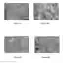 Fig. 03 - Nanomaterials for sodium-ion batteries