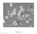 Fig. 04 - Lithium ion battery cathode and lithium ion battery using the same