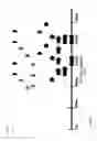Fig. 02 - Modified CIPA Gene From Clostridium Thermocellum for Enhanced Genetic Stability