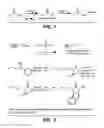 Fig. 02 - Chemically modified mutant serine hydrolases show improved catalytic activity and chiral selectivity