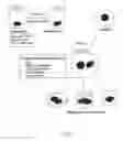 Fig. 02 - Stem Cell Fusion Model of Carcinogenesis