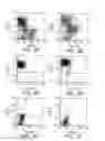 Fig. 07 - Prospective Identification and Characterization of Breast Cancer Stem Cells