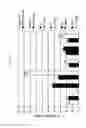 Fig. 44 - Prospective Identification and Characterization of Breast Cancer Stem Cells