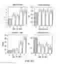 Fig. 10 - Neuronal pain pathway