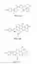 Fig. 17 - Neuronal pain pathway
