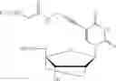 Fig. 167 - Nucleobase-functionalized conformationally restricted nucleotides and oligonucleotides for targeting of nucleic acids