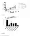Fig. 09 - Use of cyclodextrin for treatment and prevention of bronchial inflammatory diseases