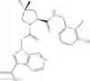 Fig. 741 - Complement pathway modulators and uses thereof